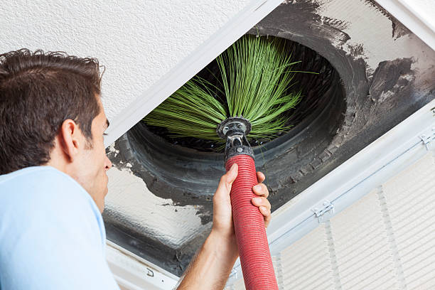 Best Dryer Vent Cleaning Services  in Greeneville, TN